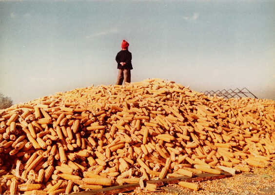 Фотография «Широкие перспективы (село Ксаверовка)». Фотограф Н. Хорунжий. [1950-е].